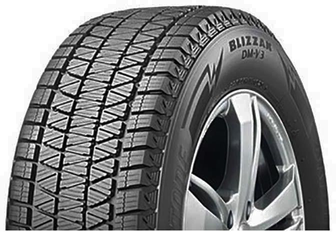 Bridgestone BRIDGEST DM-V3 pneumatiky