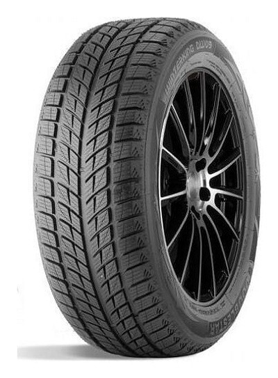 Doublestar DOUBLEST DW09 pneumatiky